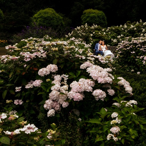 Trouwfotograaf Surinaamse bruiloft in Amsterdam | Liza en Yannick